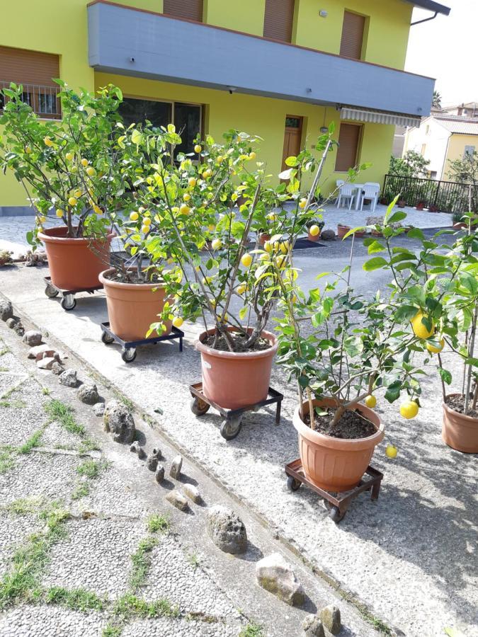 Casa Gli Ulivi Villa มอนติปุลเชียโน ภายนอก รูปภาพ
