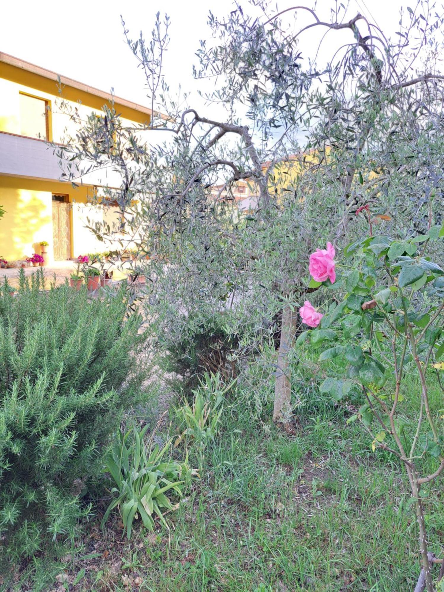 Casa Gli Ulivi Villa มอนติปุลเชียโน ภายนอก รูปภาพ